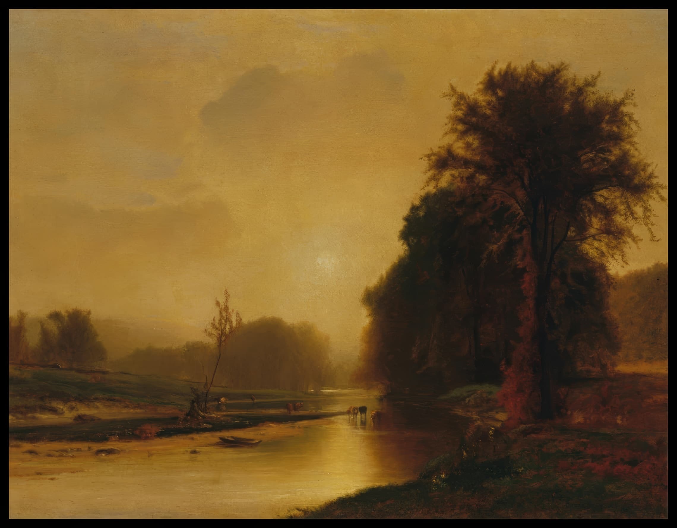 Autumn Meadows