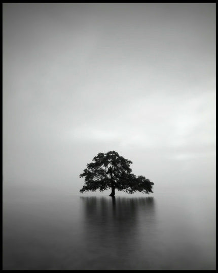 Ein Poster von einem einsamen Baum, der in einem ruhigen See steht.