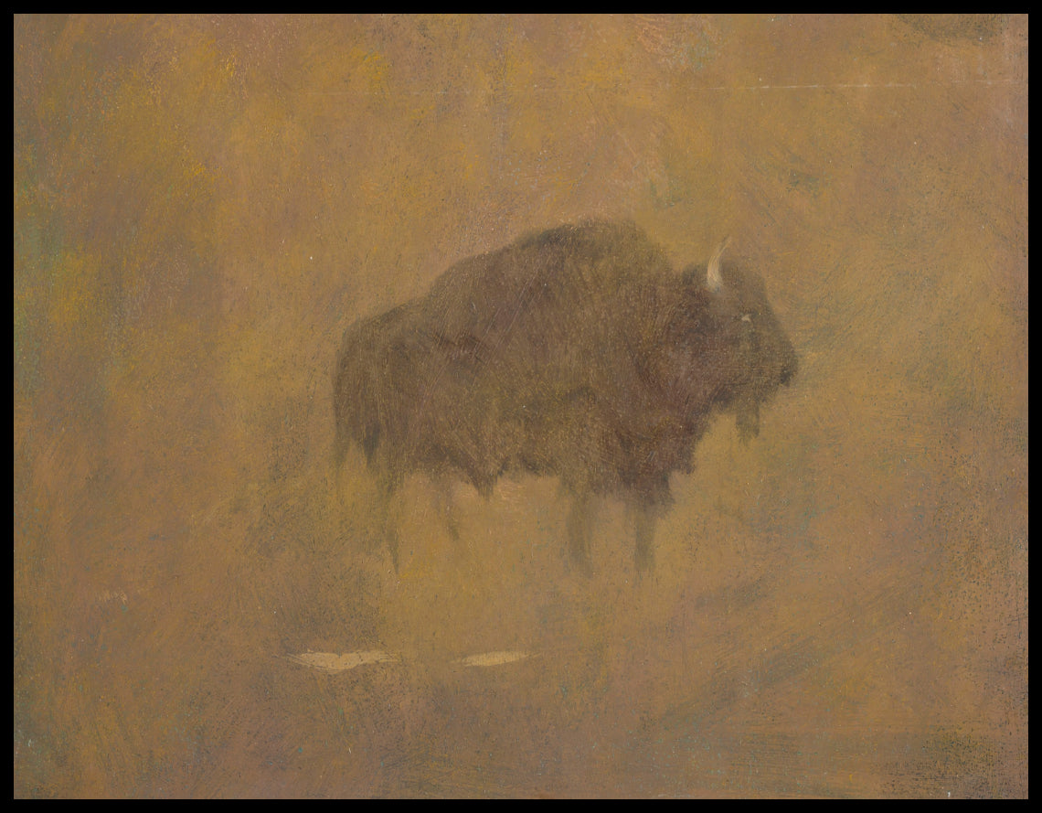 Buffalo In A Sandstorm