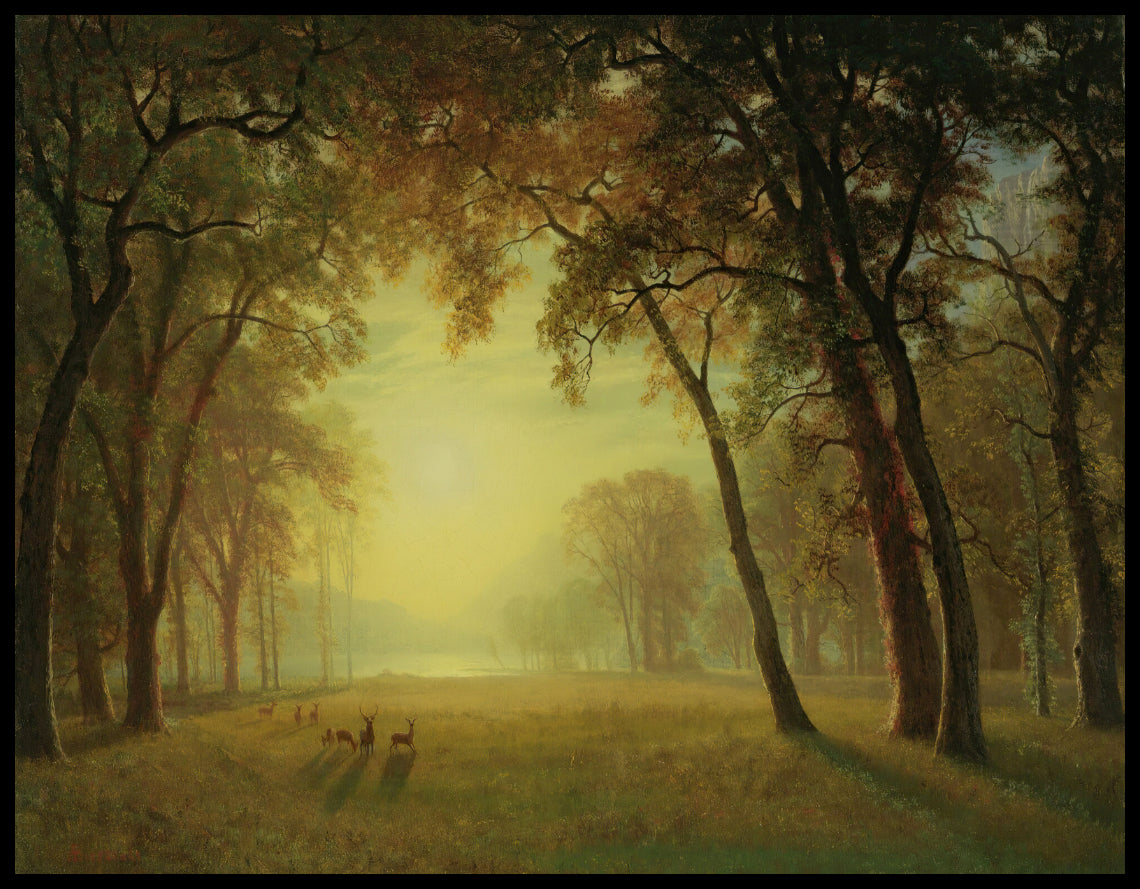 Deer In A Clearing