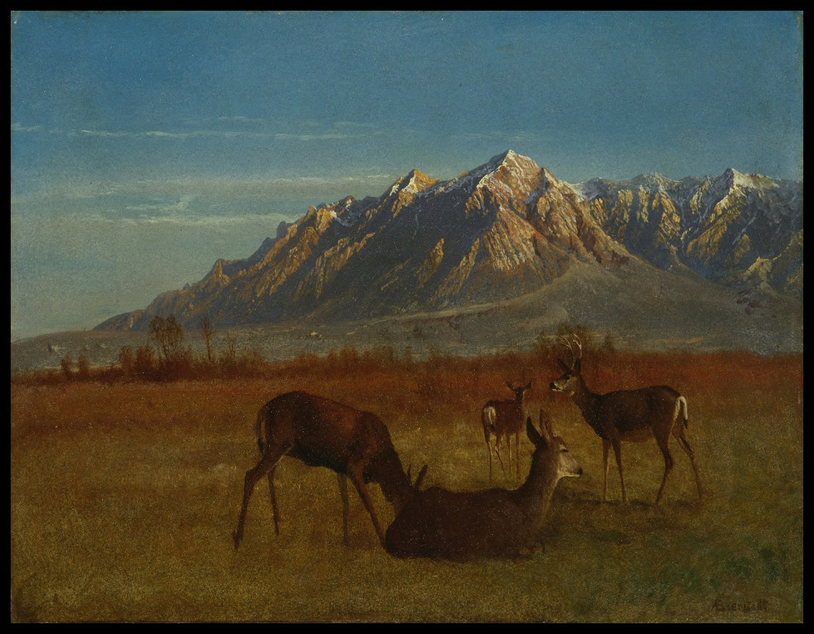 Deer In Mountain Home