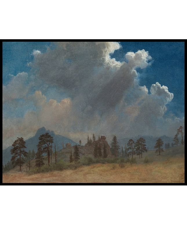 Fir Trees And Storm Clouds