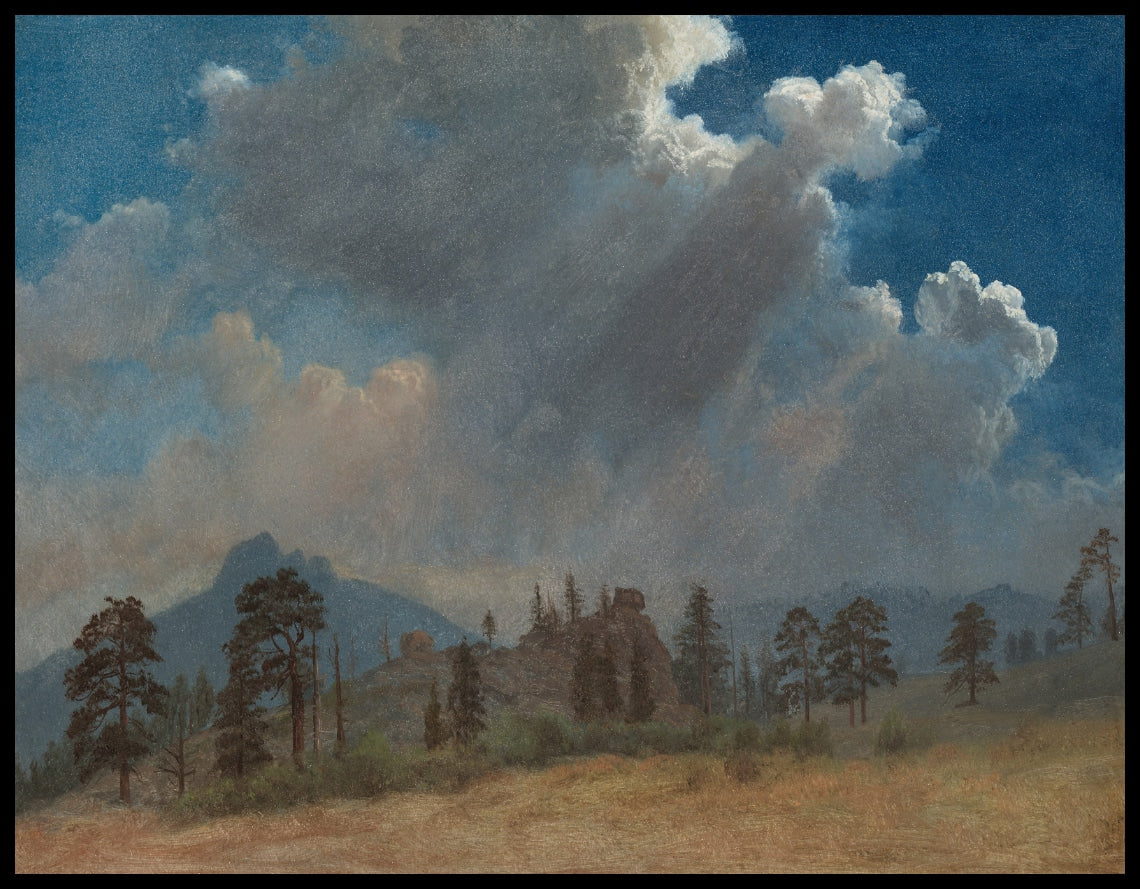 Arbres de feu et nuages de tempête