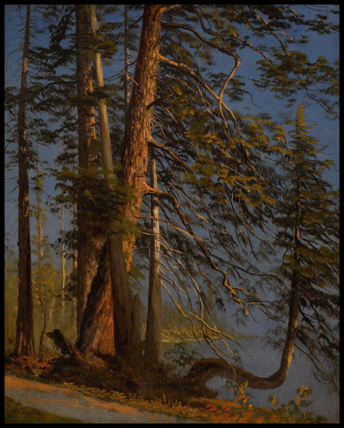 Parc At Vancouver