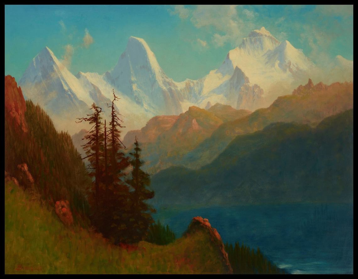 Splendor