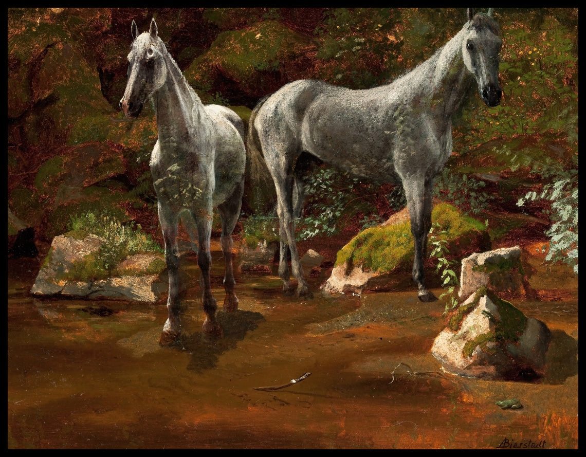 Étude de chevaux sauvages
