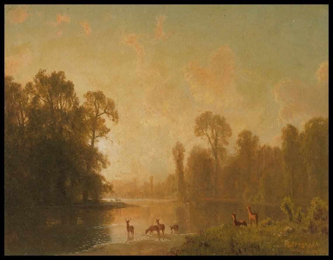 Twilight With Deer