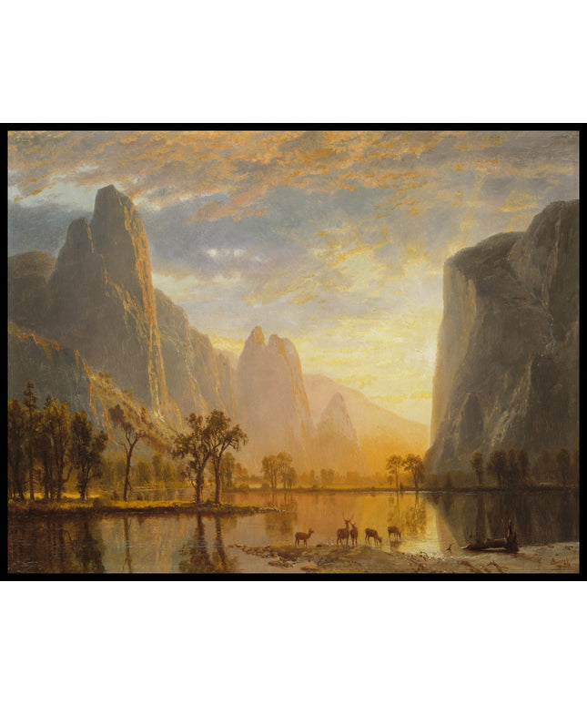 Valley Of The Yosemite