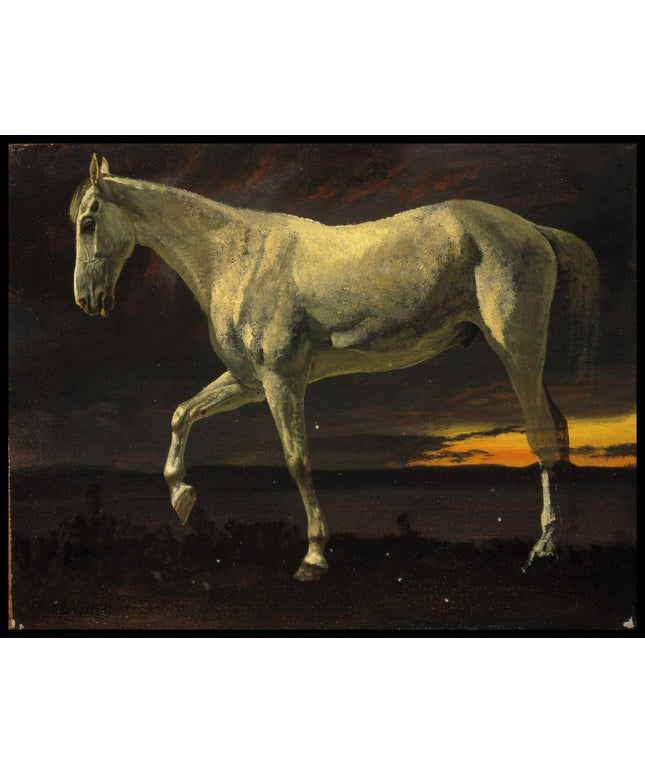 White Horse And Sunset