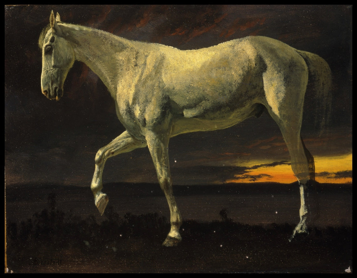 White Horse And Sunset