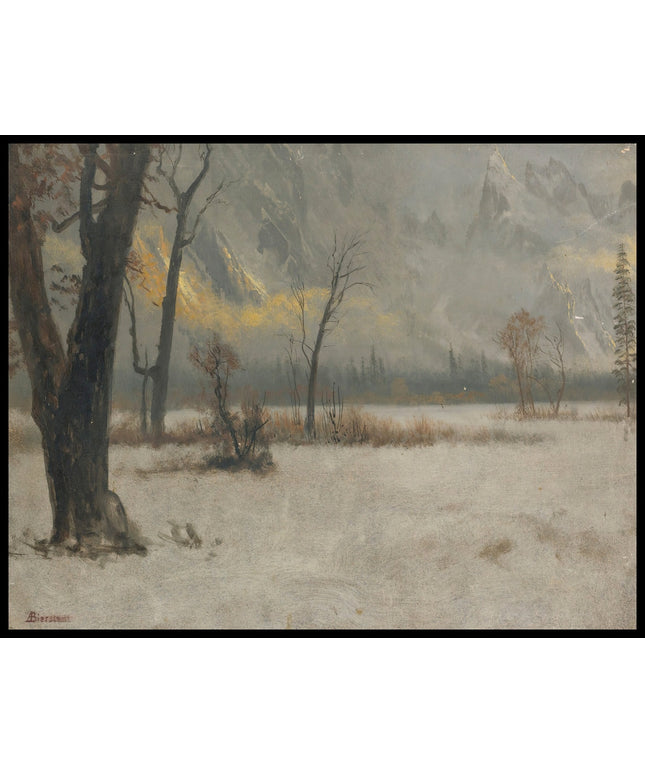 Winter Landscape