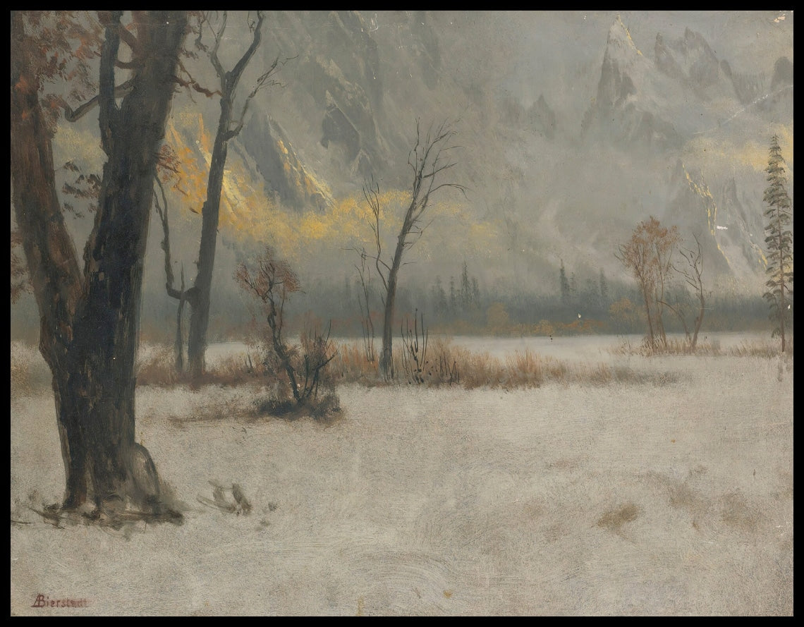 Paysage d'hiver