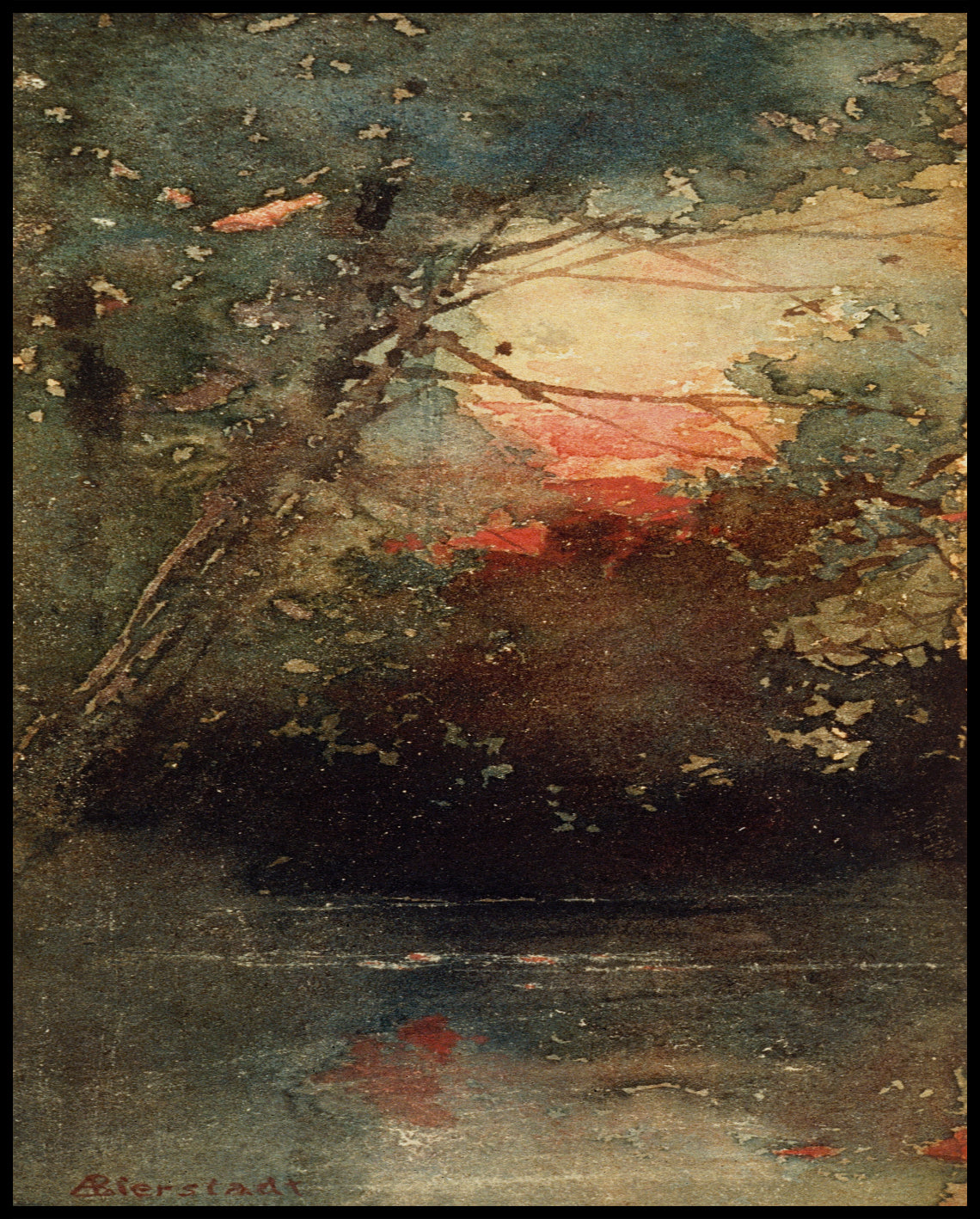 Coucher de soleil de Woodland