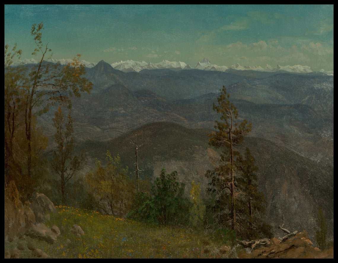 Vallée du Yosemite