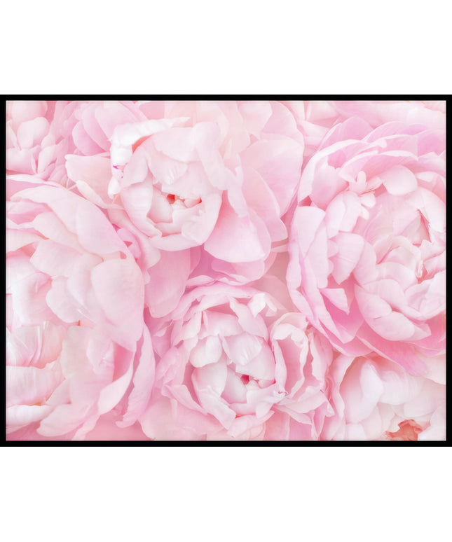 Ein Poster von zarten, rosa Blüten in voller Blüte.