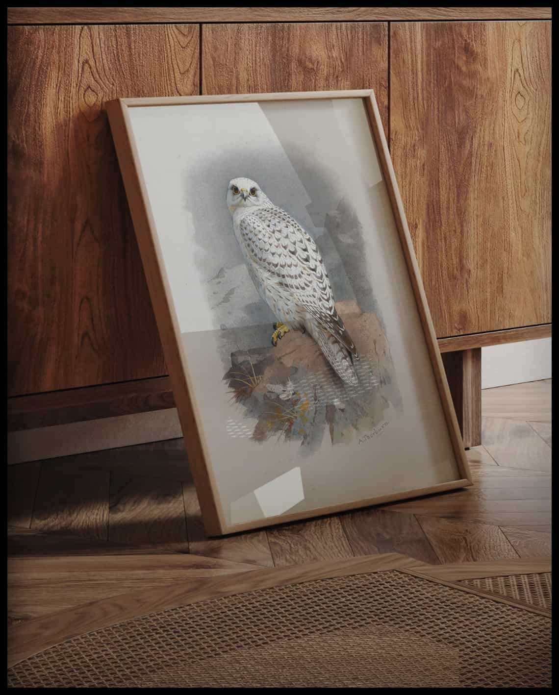 Falcon poster
