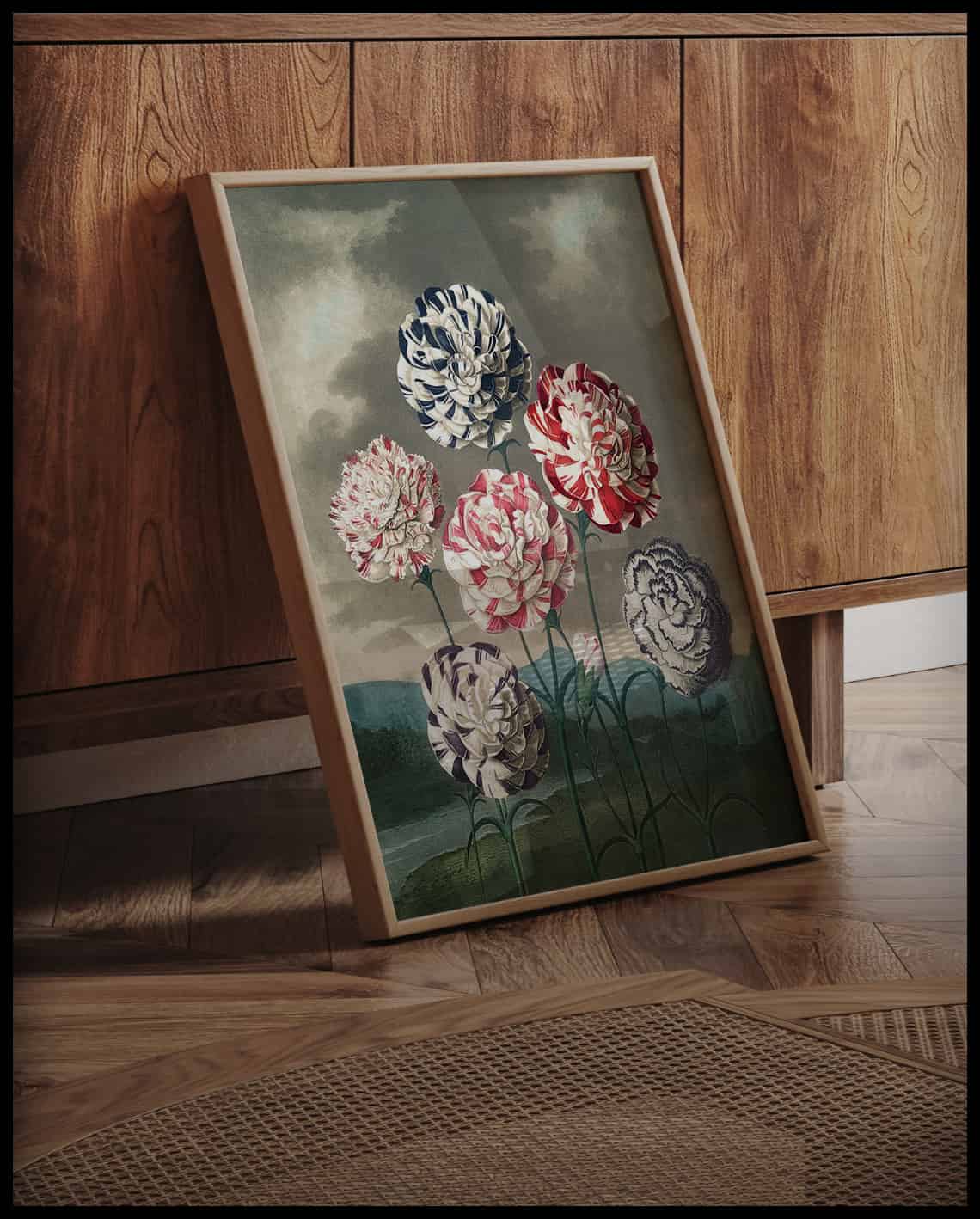 Group Of Carnations