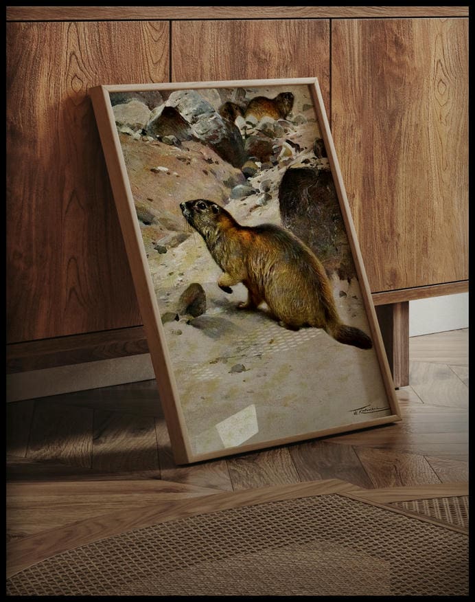 Alpine Marmot