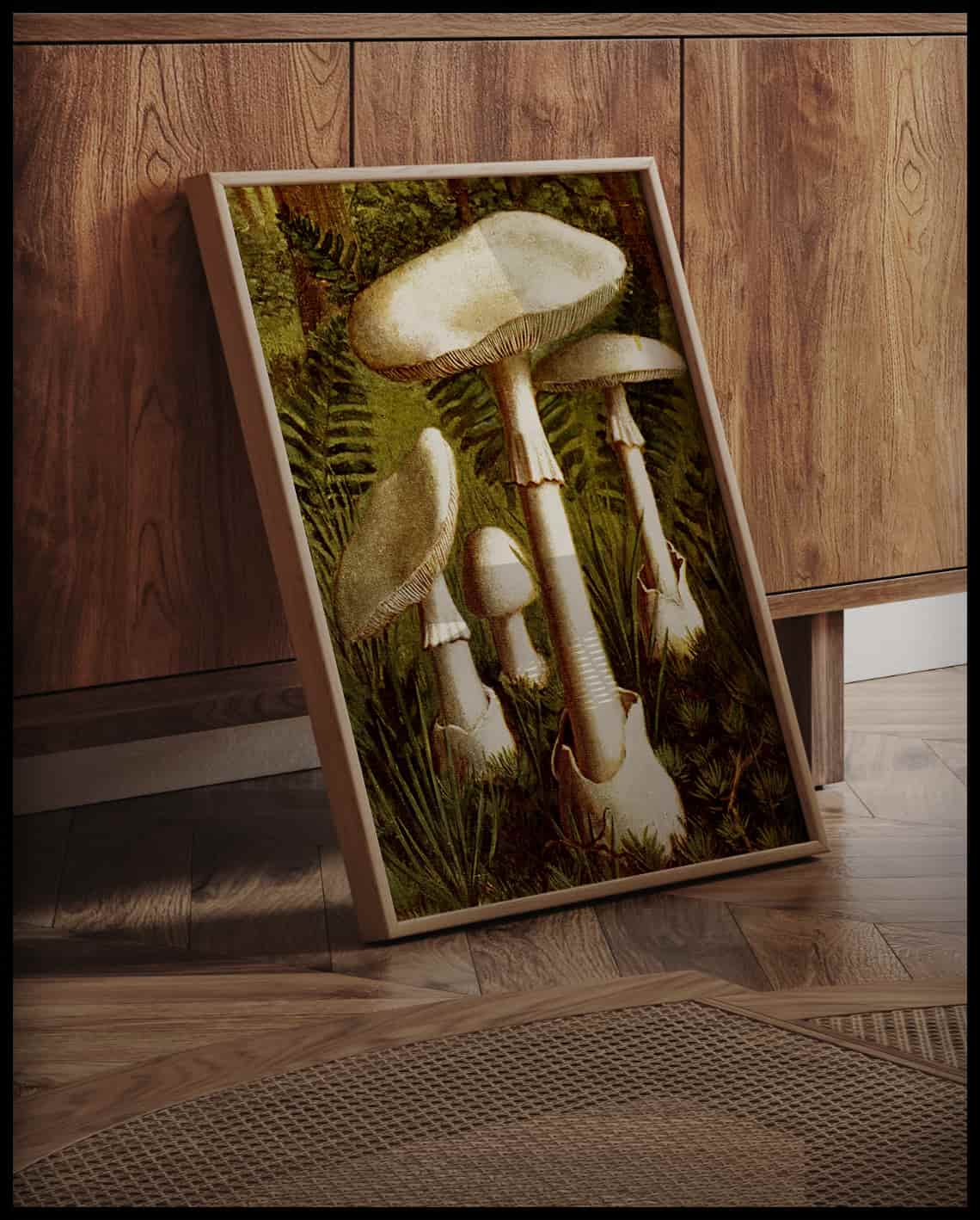 Amanita Verna