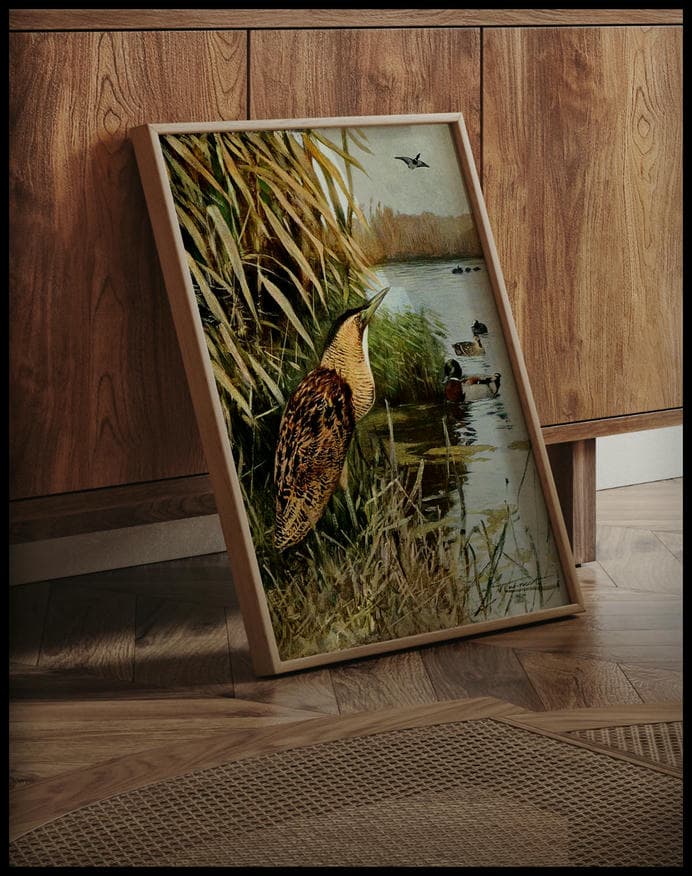 Bittern