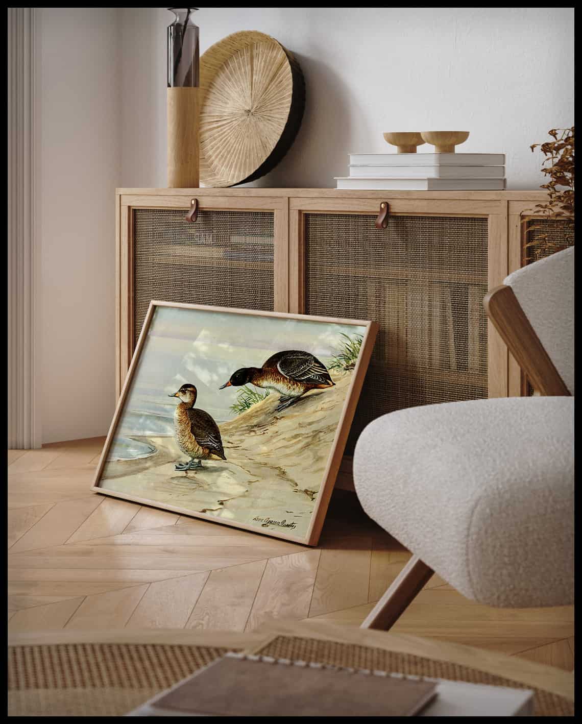 Cuckoo duck poster