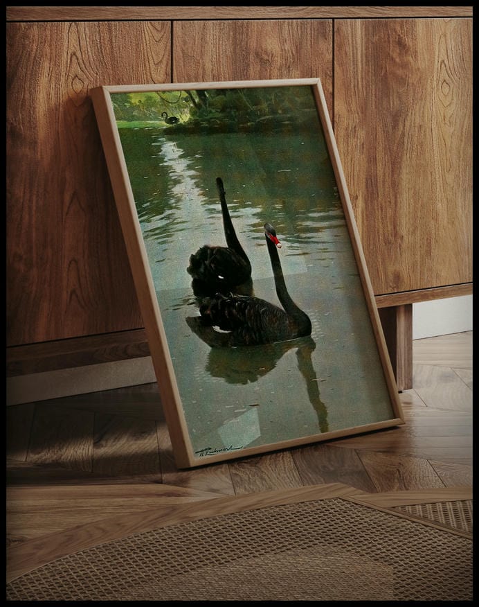 Black Swan