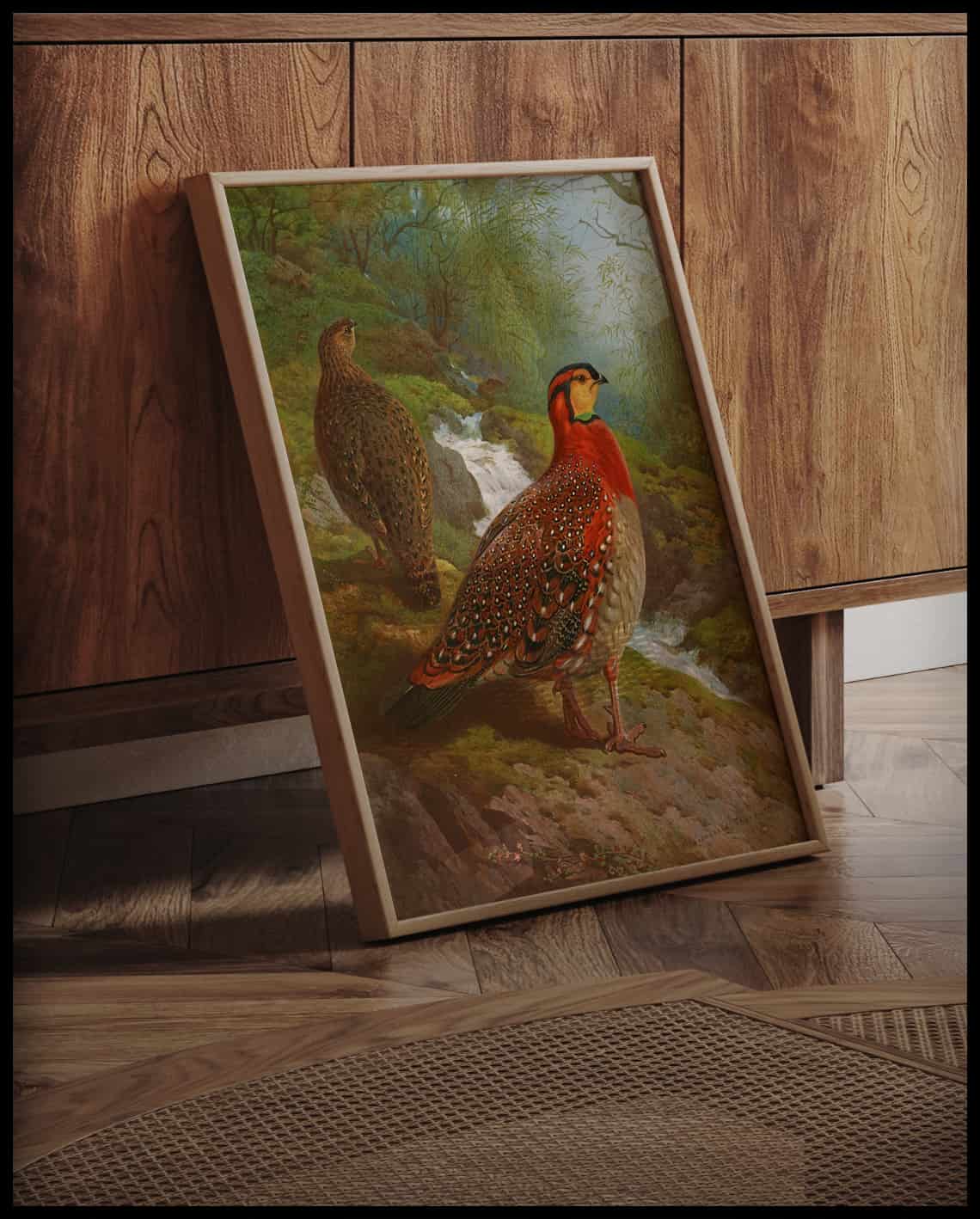 Tragopan Poster