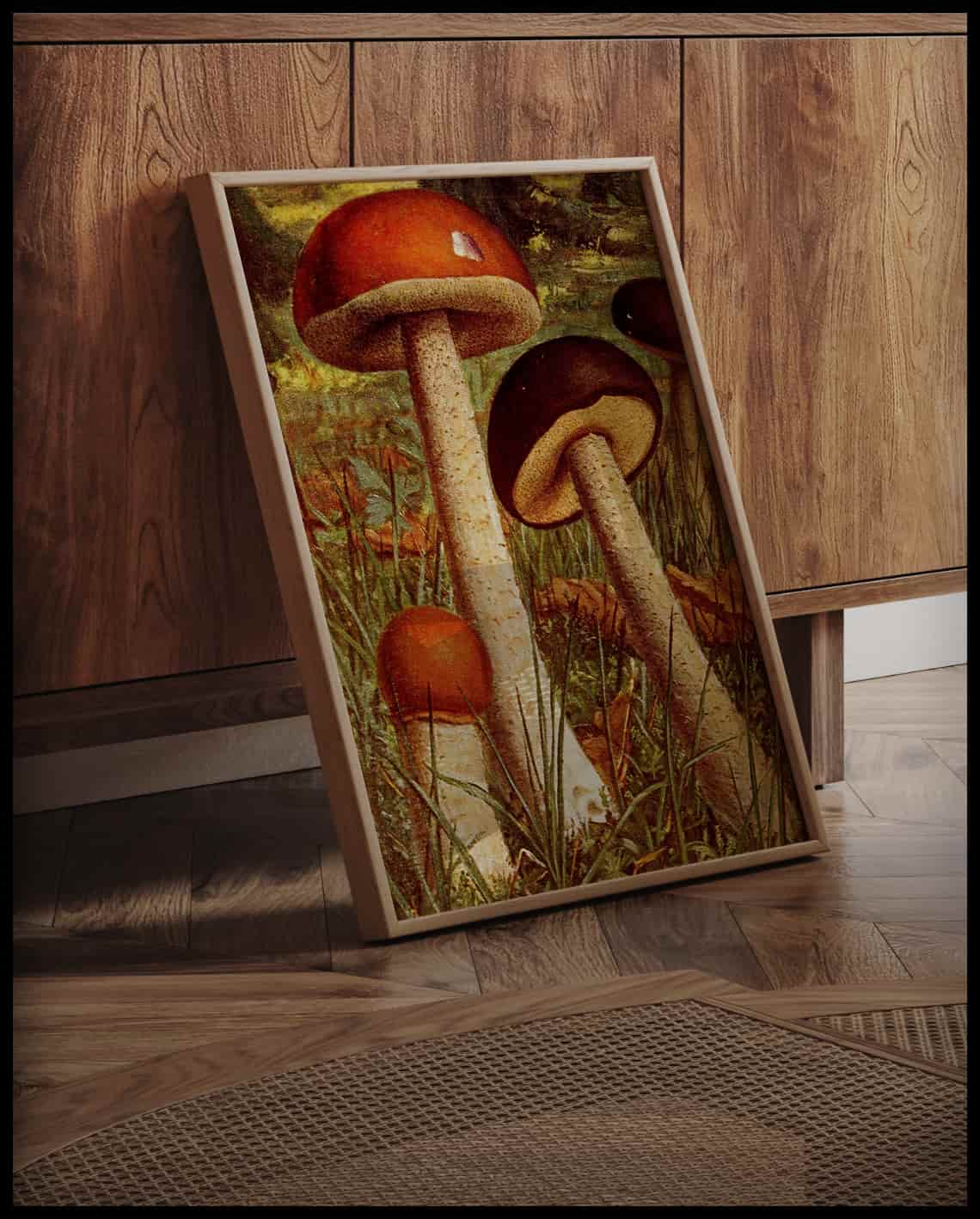 Boletus Scaber