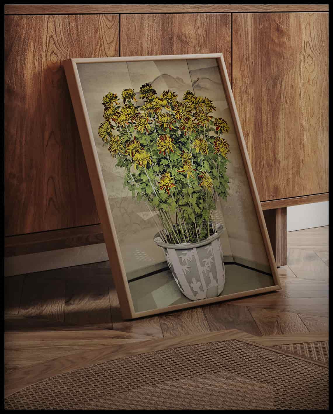 Chrysanthemum