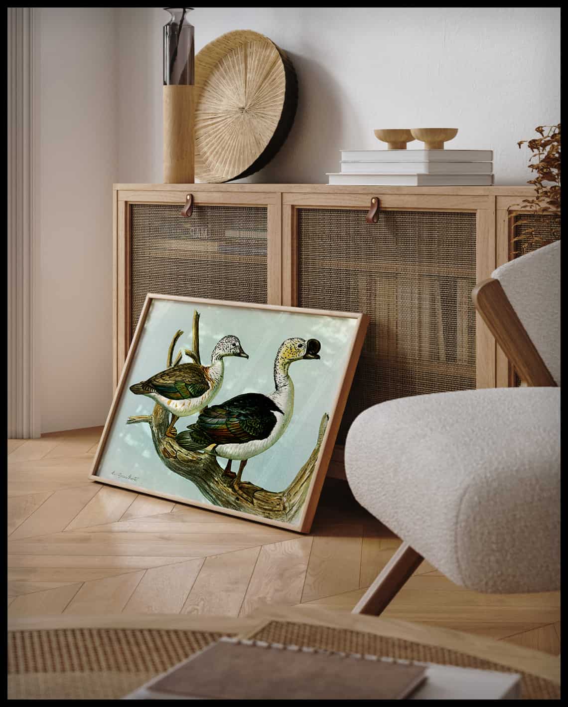 Sarcidiornis poster