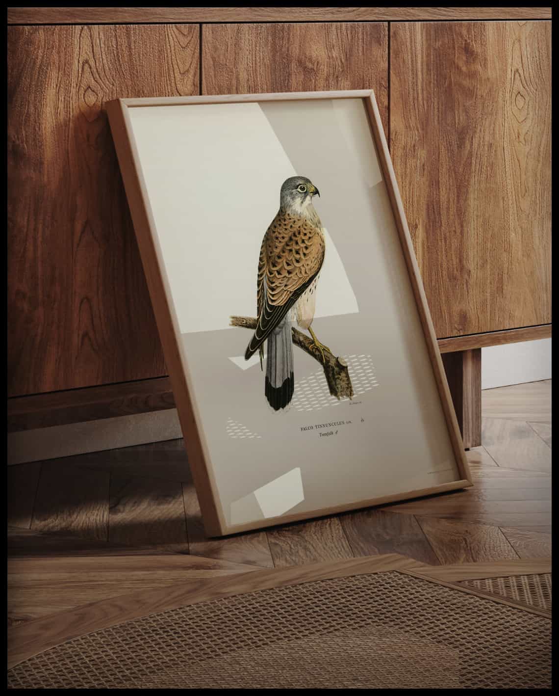 Falco Tinnunculus Poster