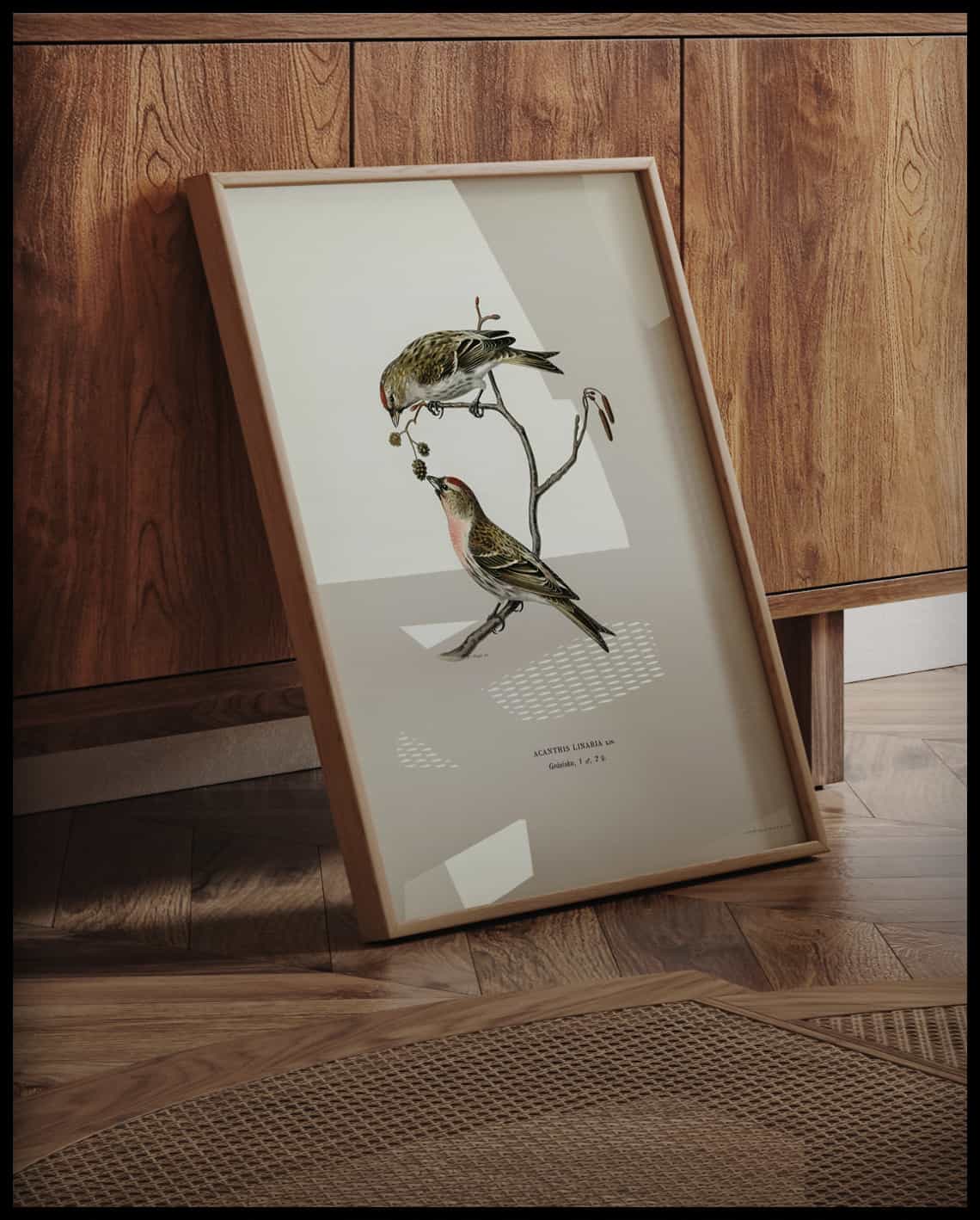 Acanthis Linaria Poster