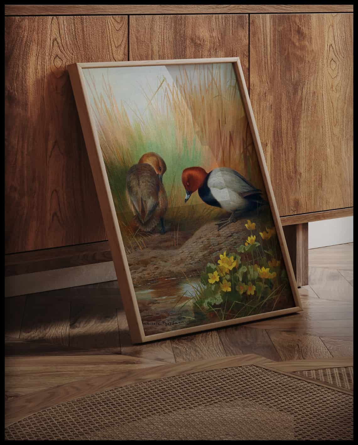 Pochard poster