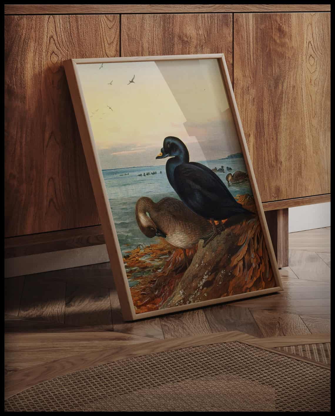 Sea ducks poster