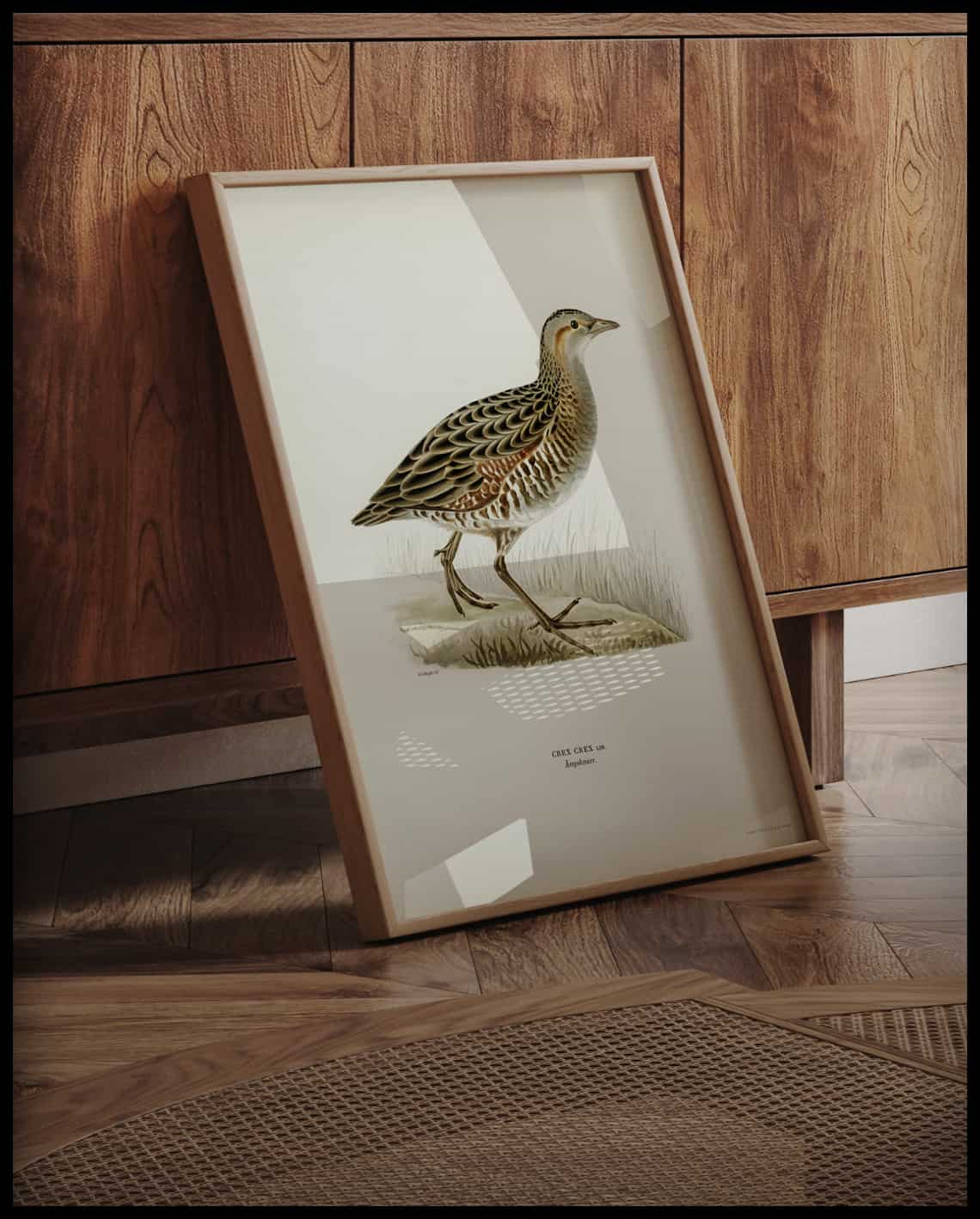 Crex Crex Poster