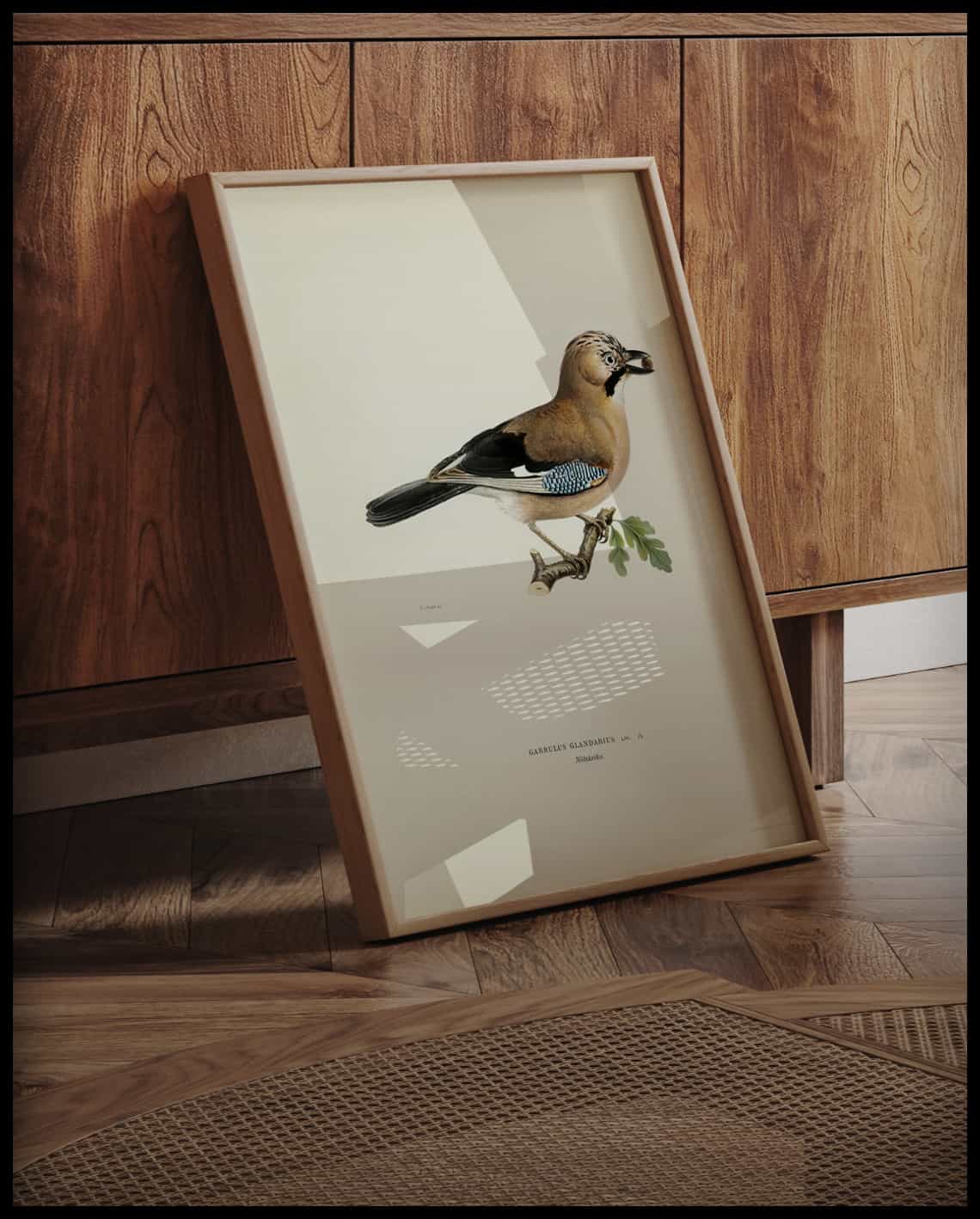 Garrulus Glandarius Poster