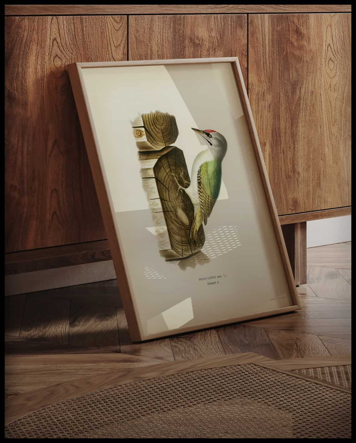 Picus Canus Poster