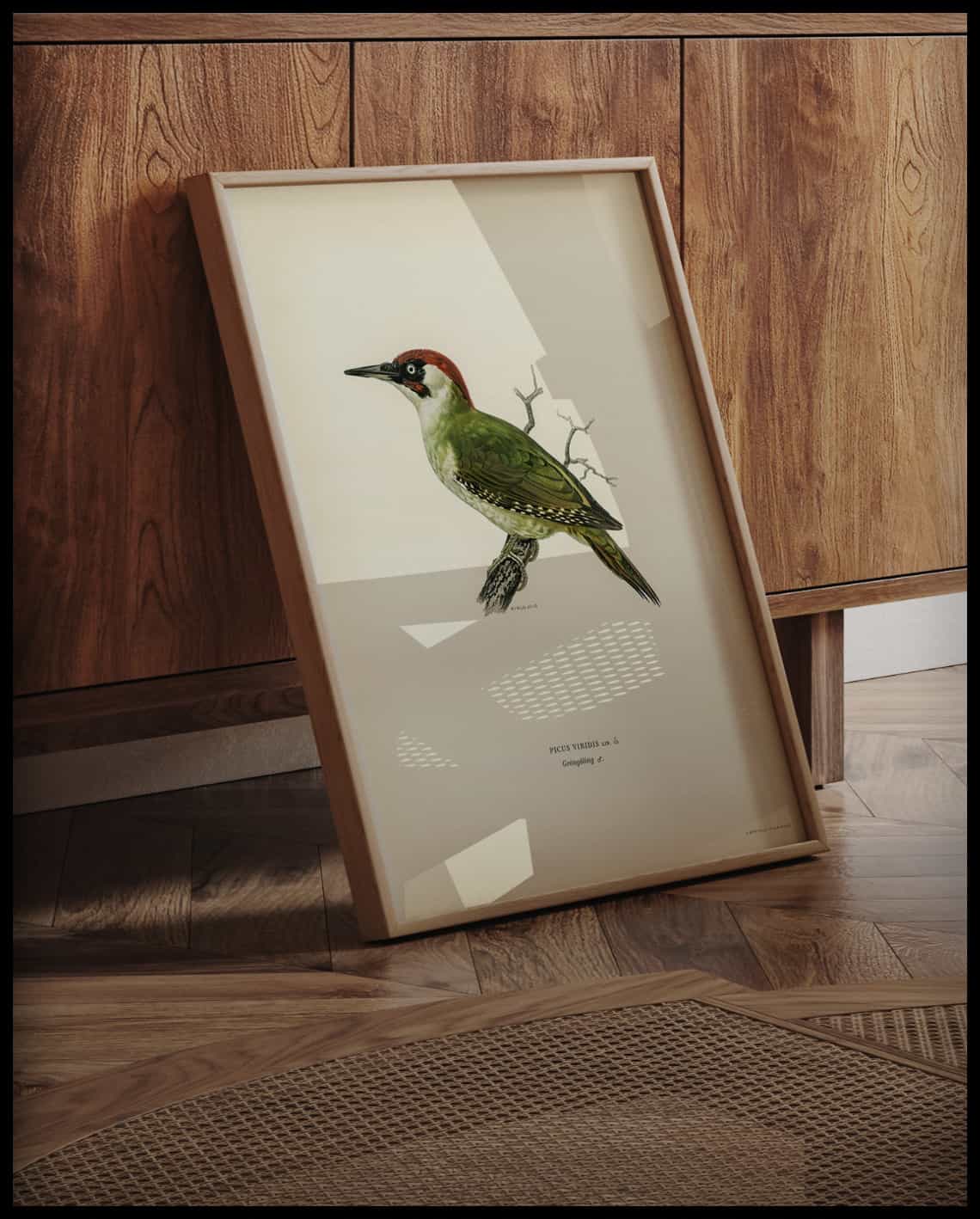 Picus Viridis Poster