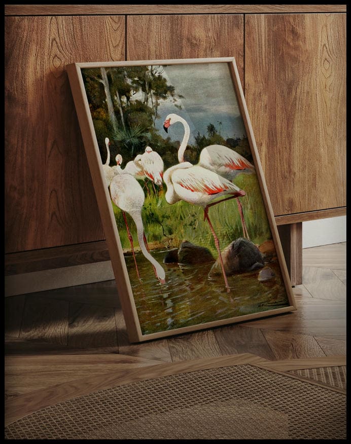 Flamingo