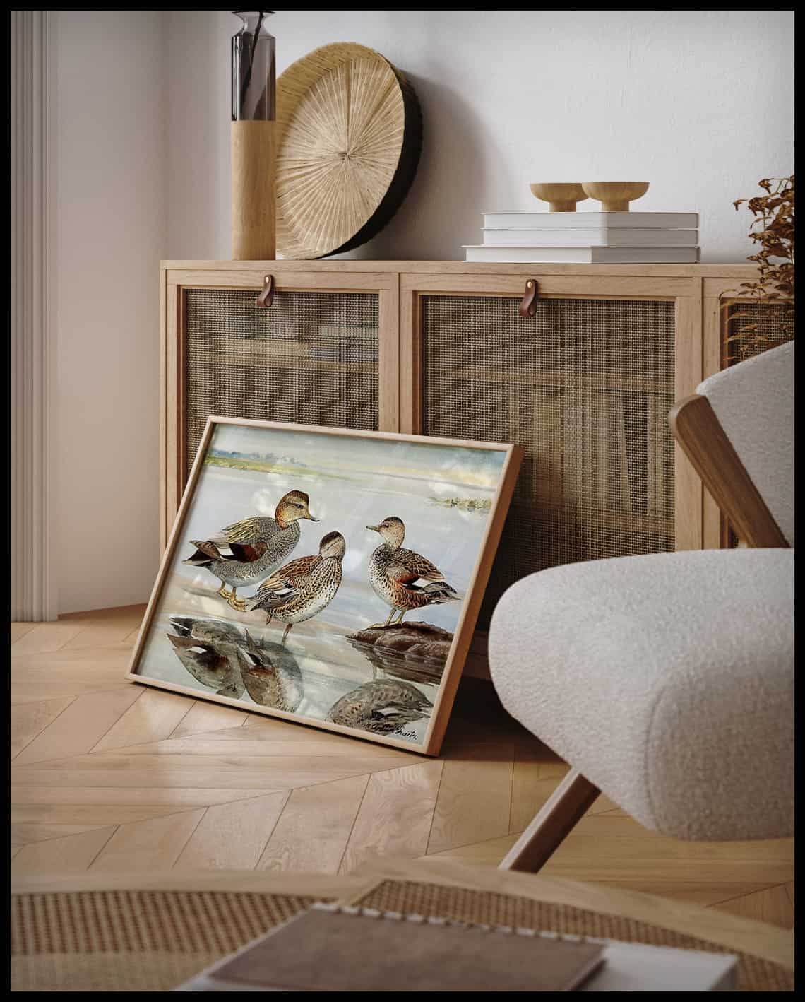 Gadwall poster