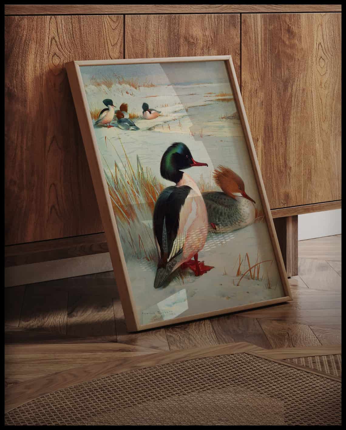 Gänsesäger Poster