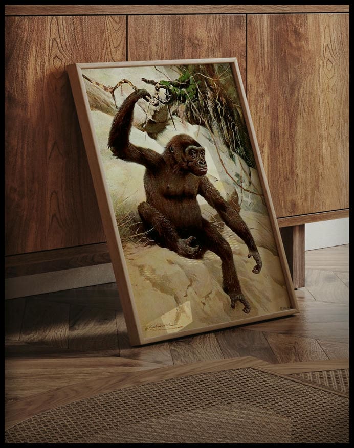 Gorilla
