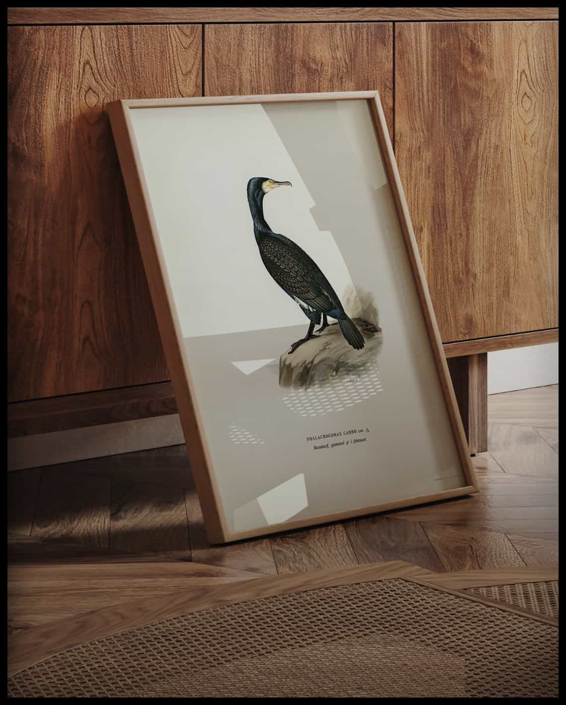 Phalacrocorax Carbo Poster