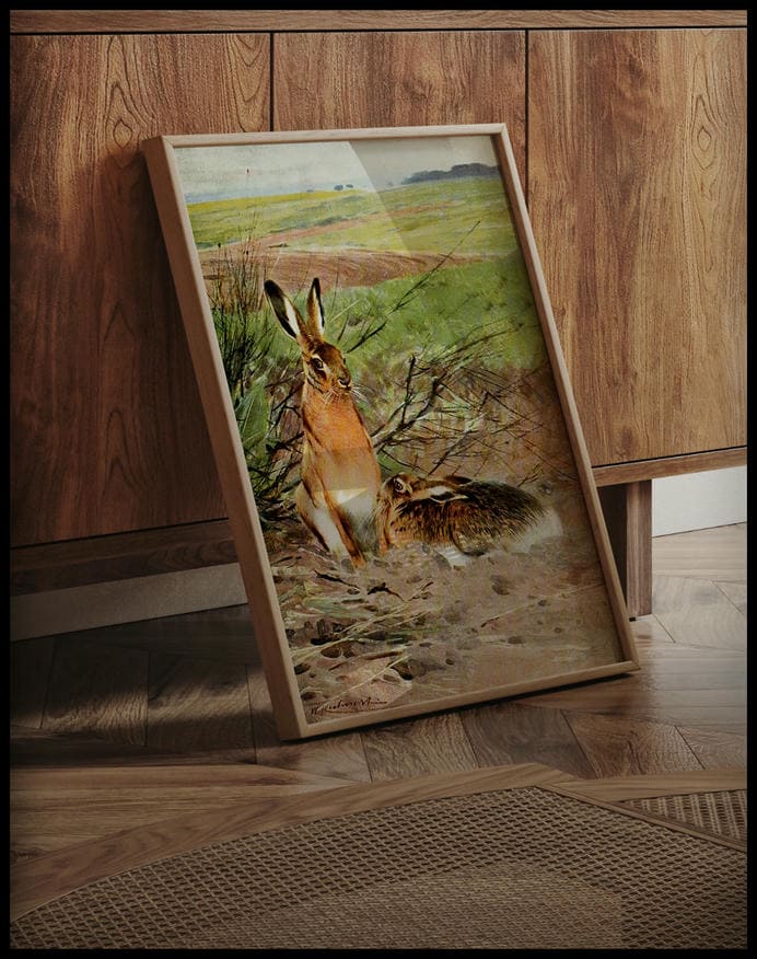 Hare