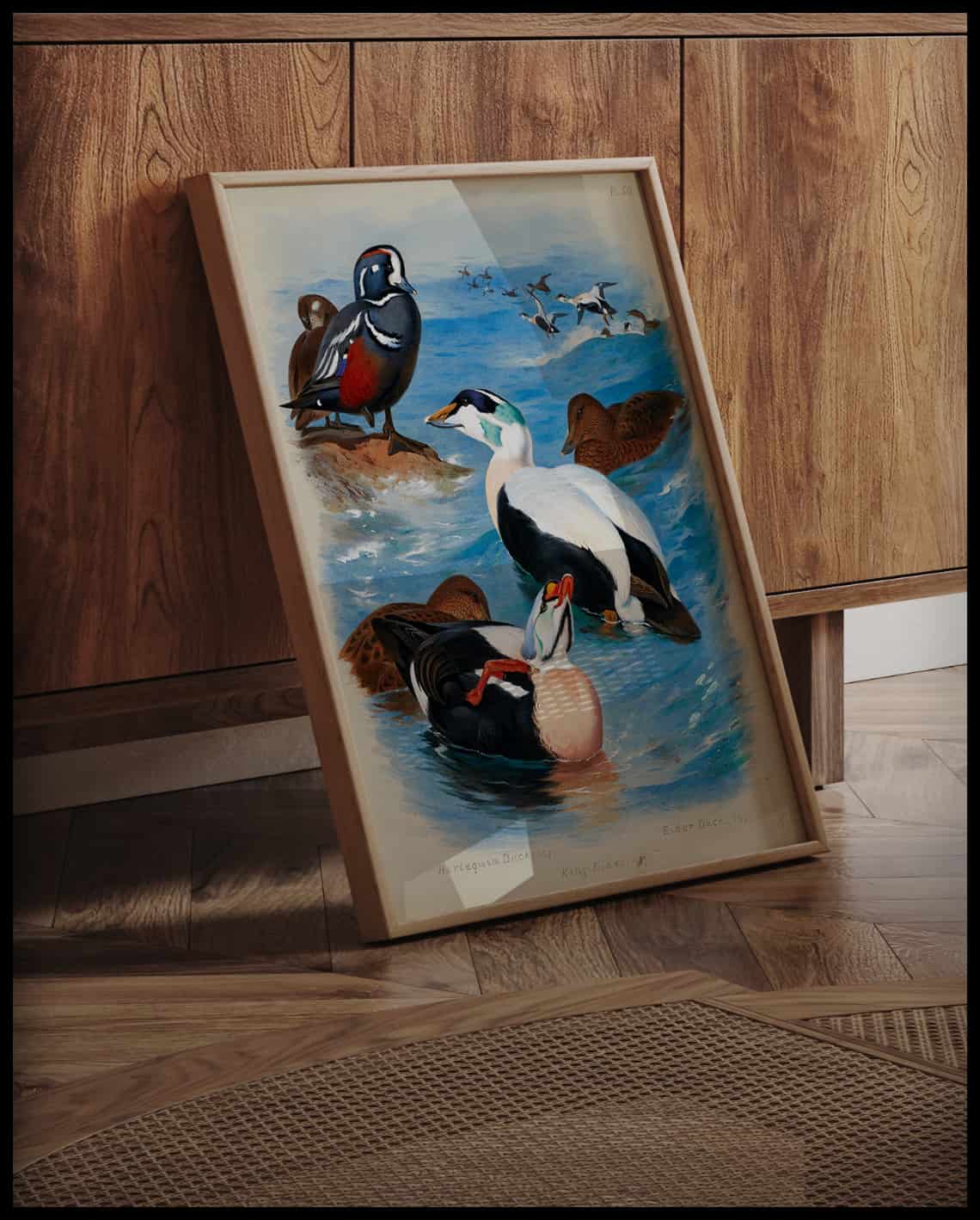 Ducks poster