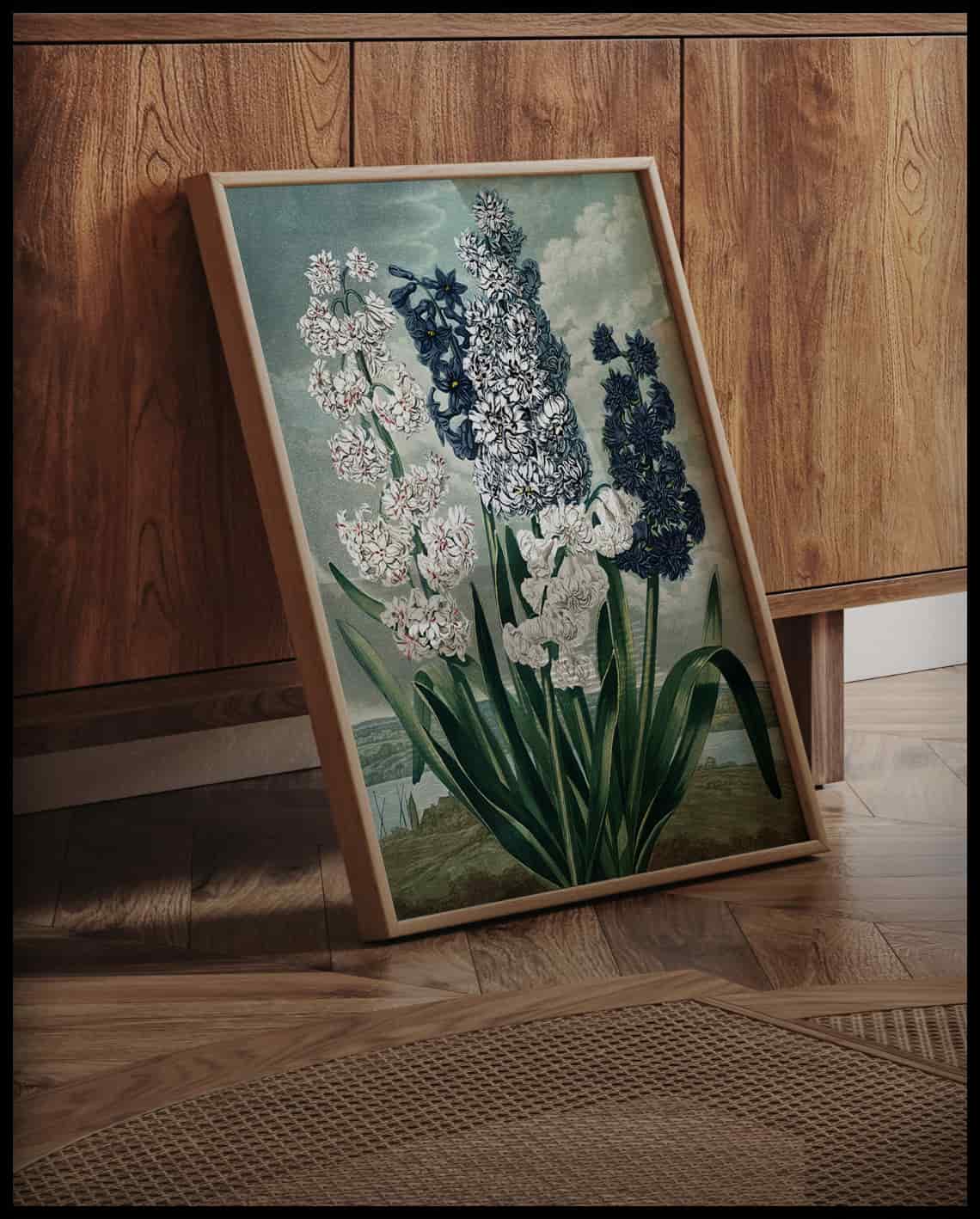 Hyacinths