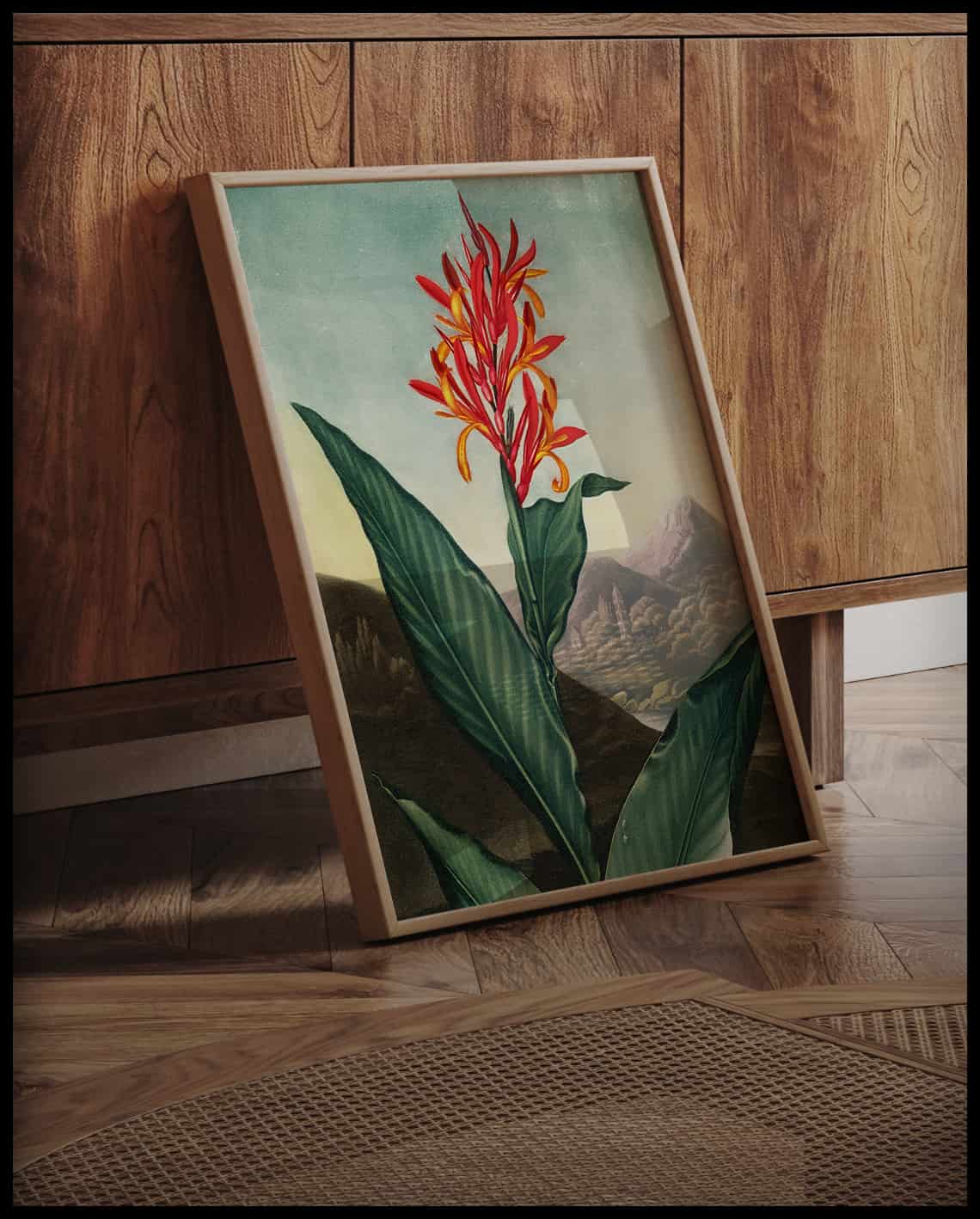 Indian Reed