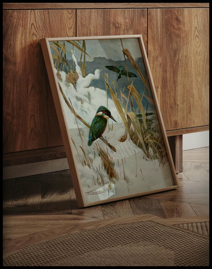 Kingfisher