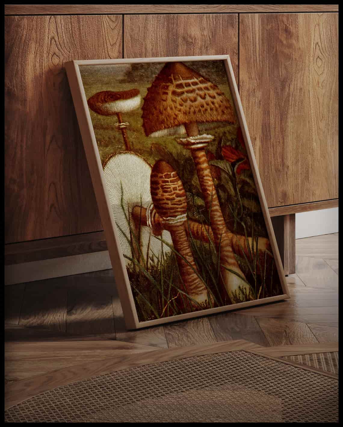 Lepiota Procera
