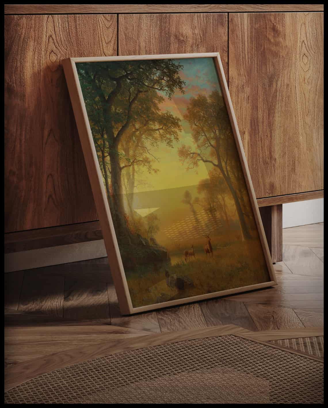Lumière dans la forêt
